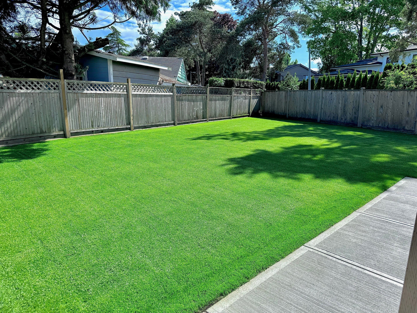 Alpha Centauri Elite Perennial Ryegrass