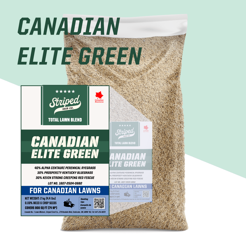 Canadian Elite Green Total Lawn Blend 🇨🇦