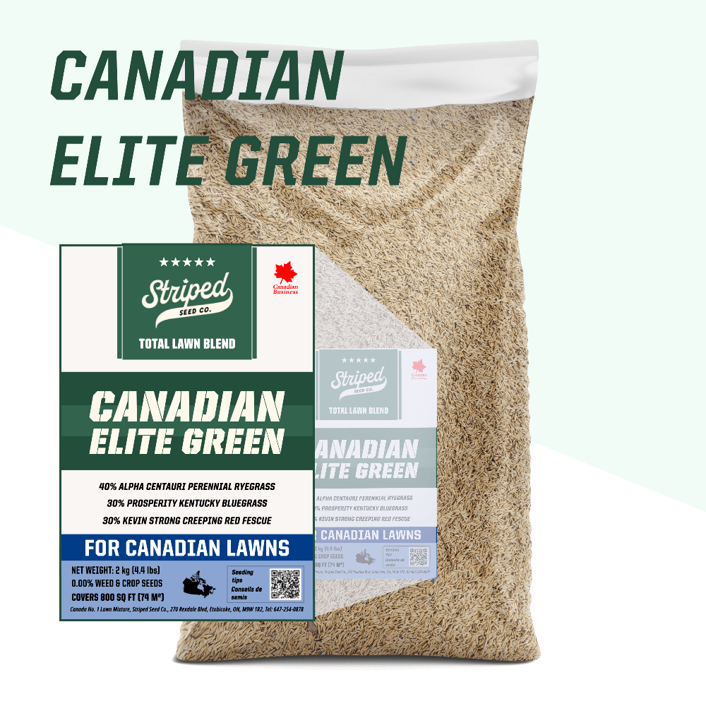 Canadian Elite Green Total Lawn Blend 🇨🇦