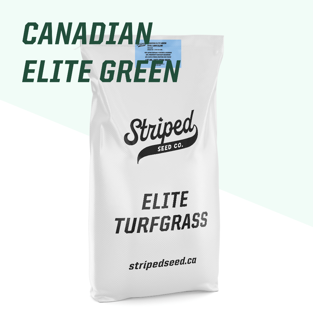 Canadian Elite Green Total Lawn Blend 🇨🇦