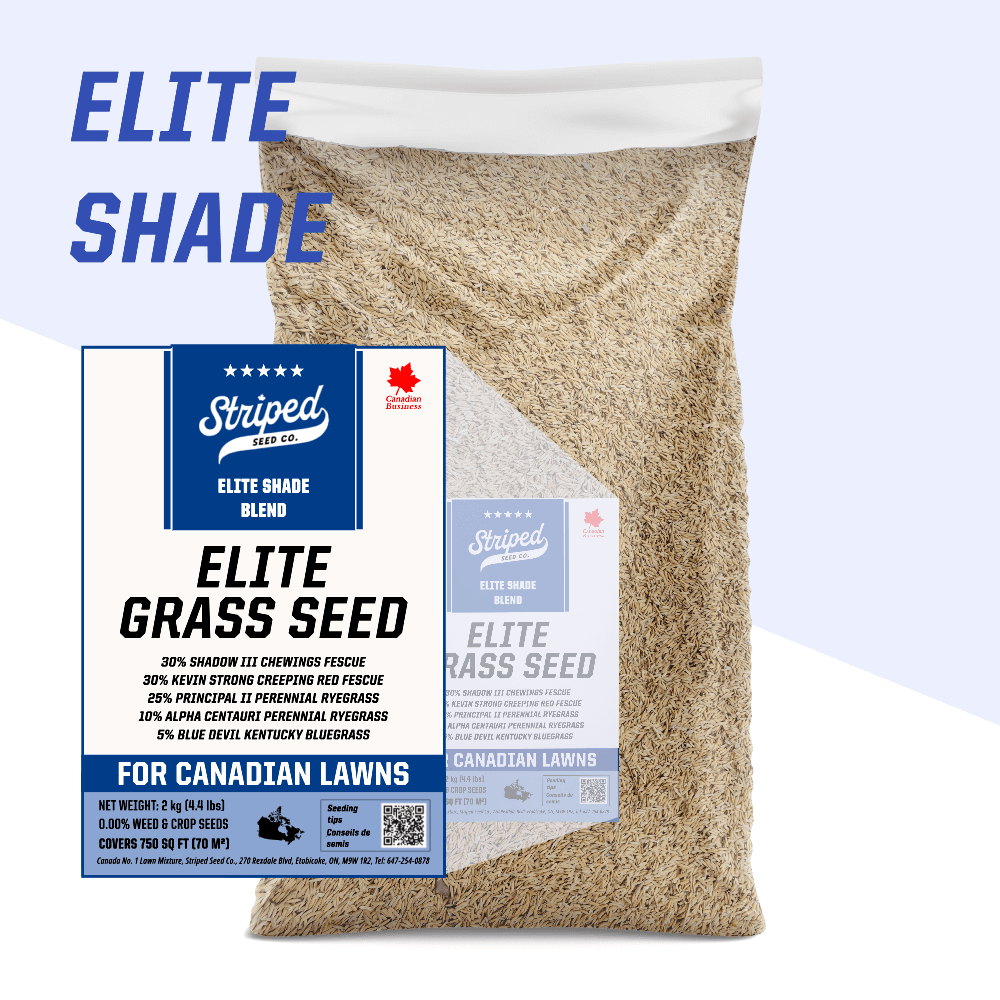 Elite Shade 2kg