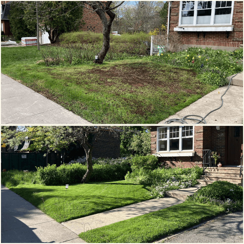 Canadian Elite Green Total Lawn Blend