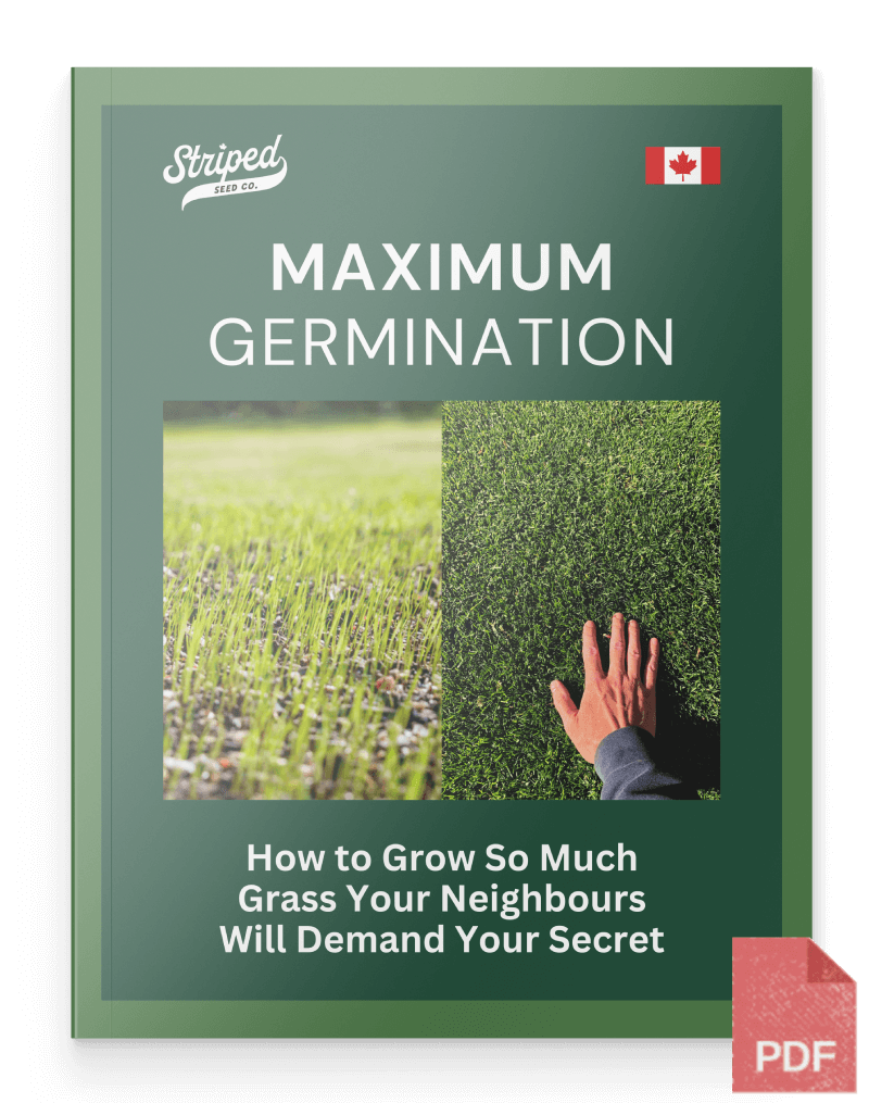Maximum Germination: How to Grow So Much Grass Your Neighbours Will Demand Your Secret