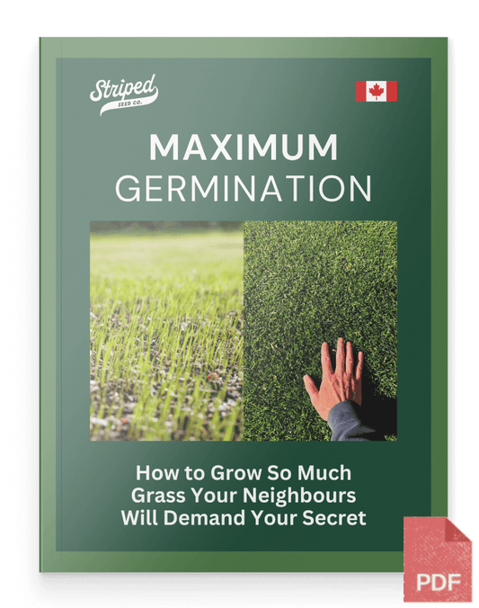 Maximum Germination: How to Grow So Much Grass Your Neighbours Will Demand Your Secret