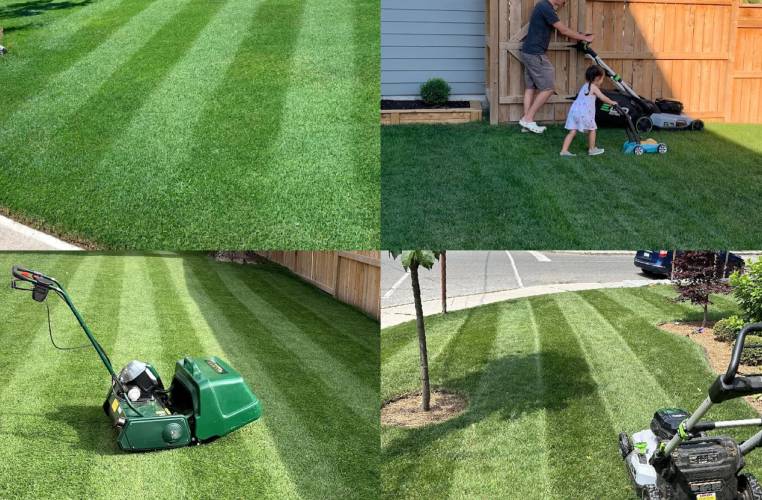 overseed-before-after.jpg