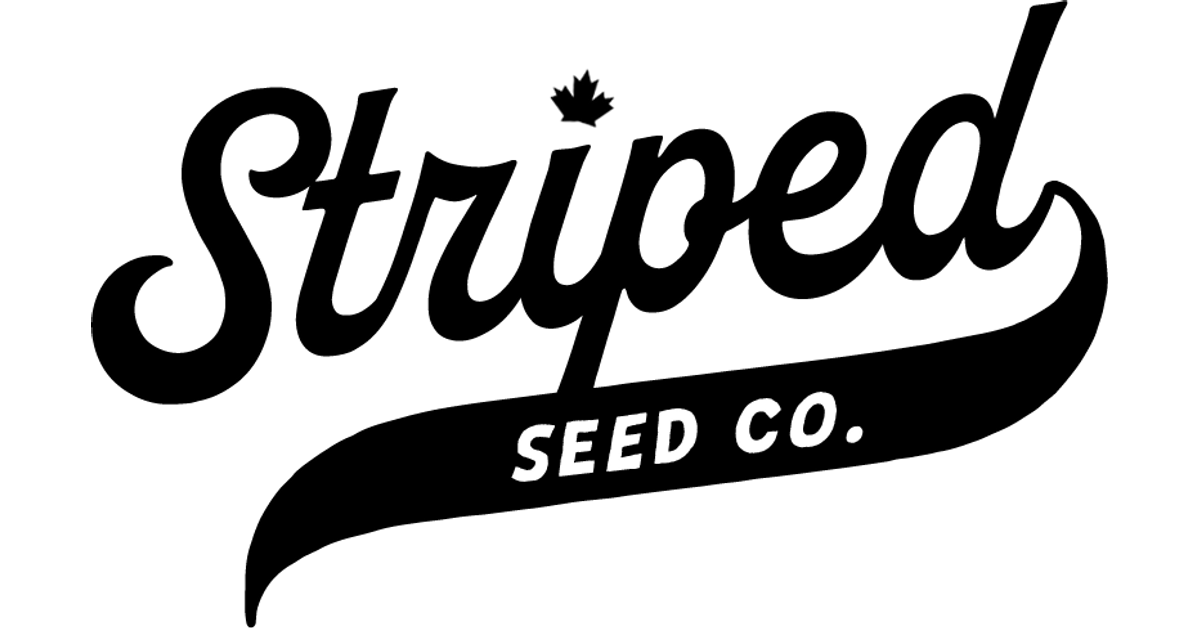Elite Grass Seed for Canadian Lawns Striped Seed Co.