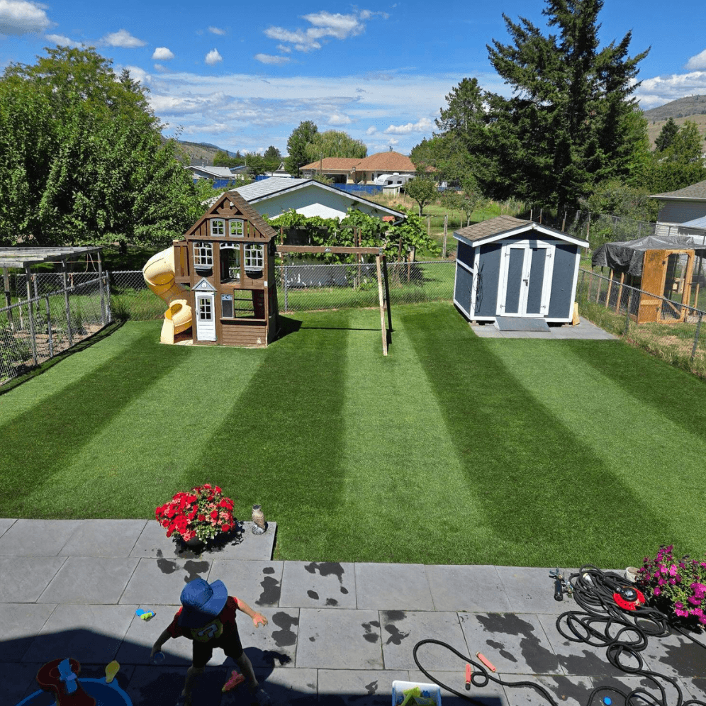 Alpha Centauri Elite Perennial Ryegrass