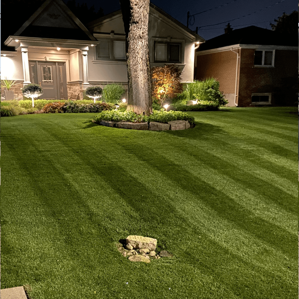 Mélange Elite Bluegrass/Ray-grass 2kg