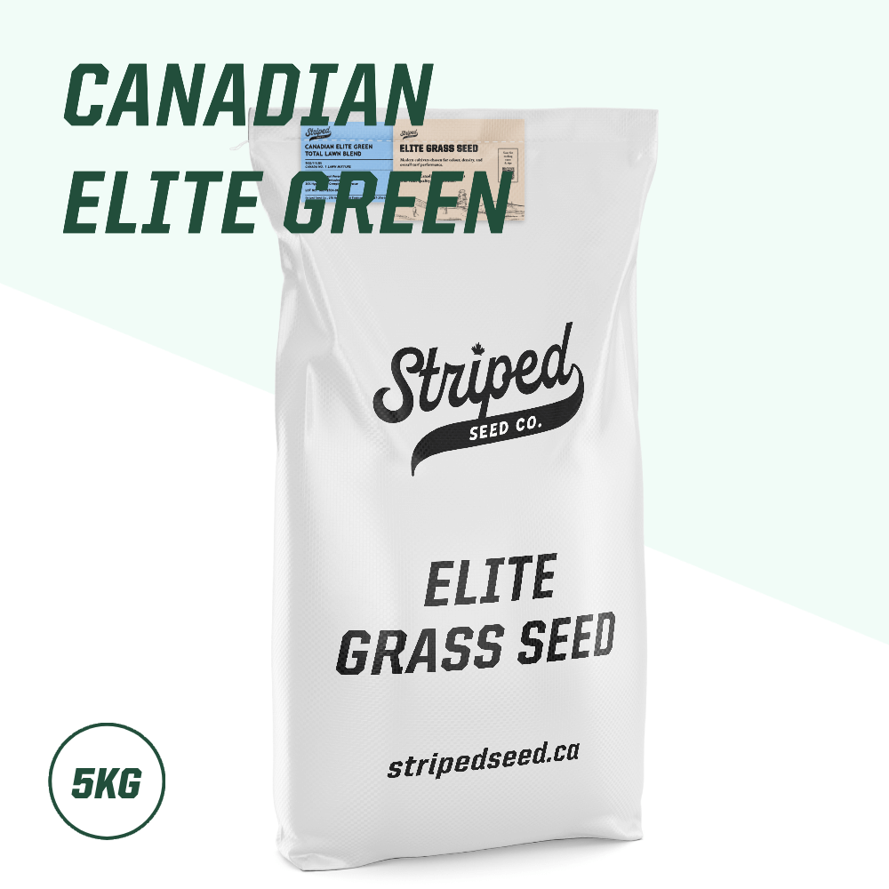 Canadian Elite Green Total Lawn Blend 🇨🇦