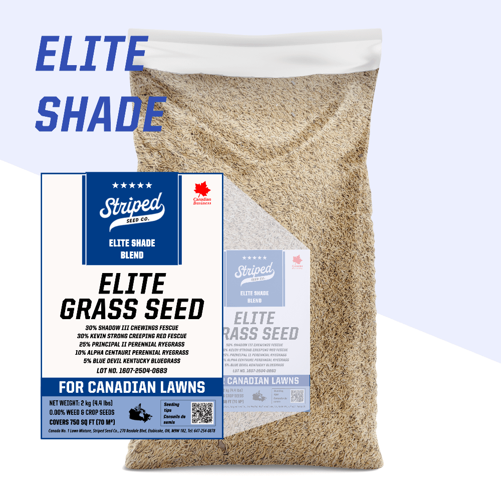 Elite Shade 2kg