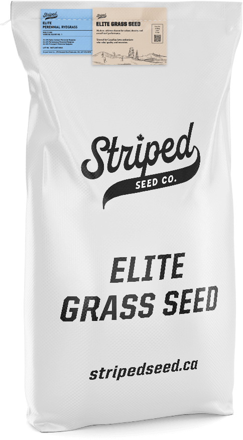 Striped Seed Co. grass seed bag