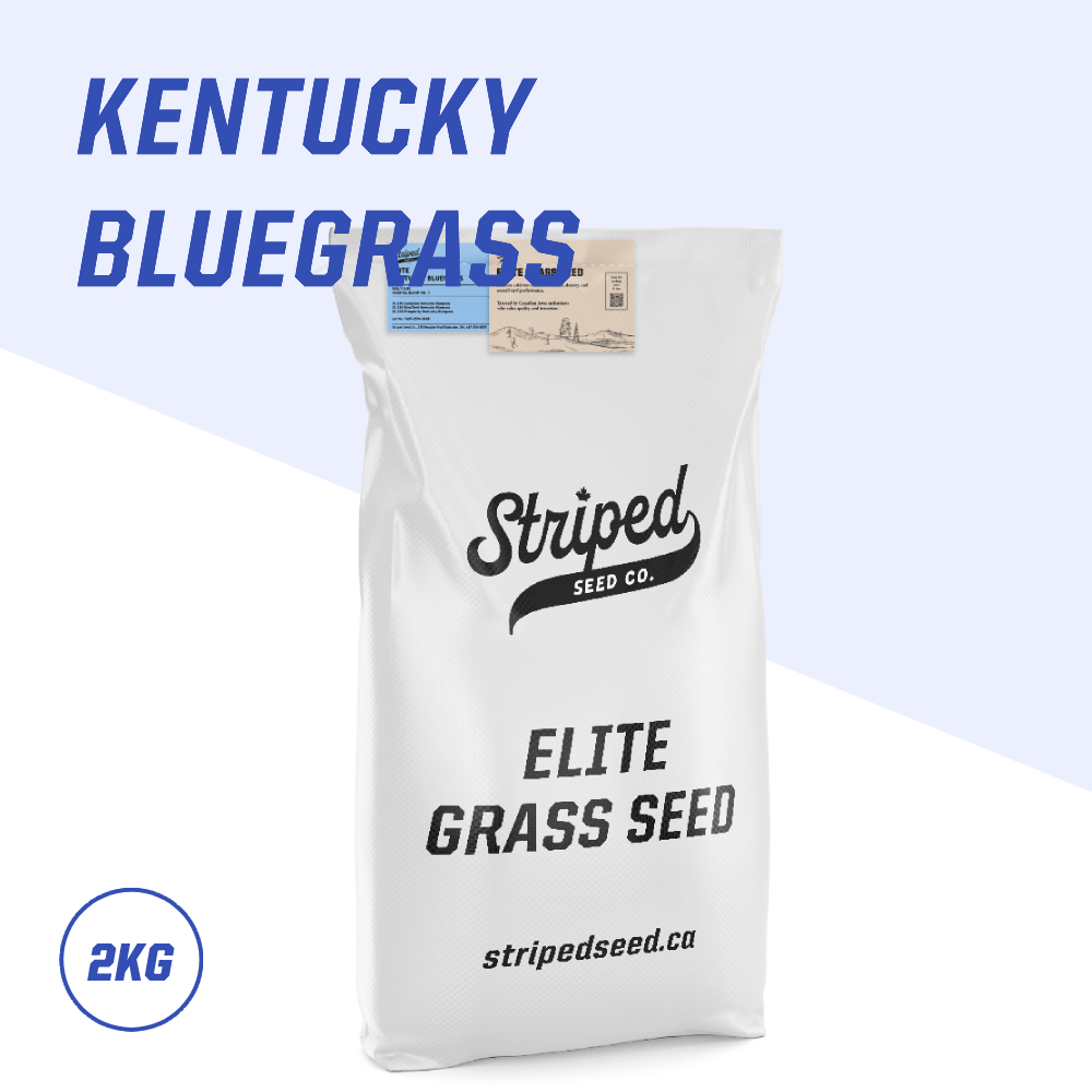 Elite Kentucky Bluegrass Blend 2kg