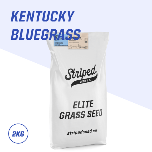 Elite Kentucky Bluegrass Blend 2kg