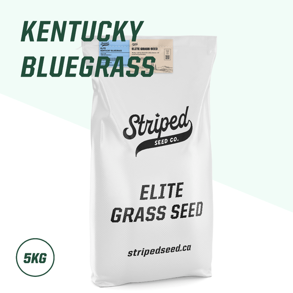 Elite Kentucky Bluegrass Blend 5kg