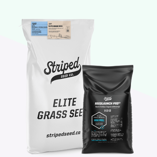 Elite Bluegrass/Ryegrass Blend 5kg + SeedLaunch Pro