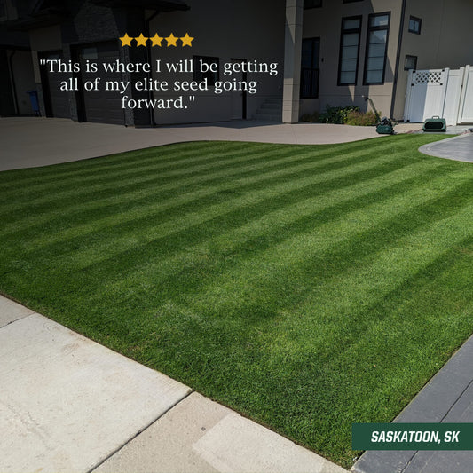 Larger Lawns and Renovations – Striped Seed Co.