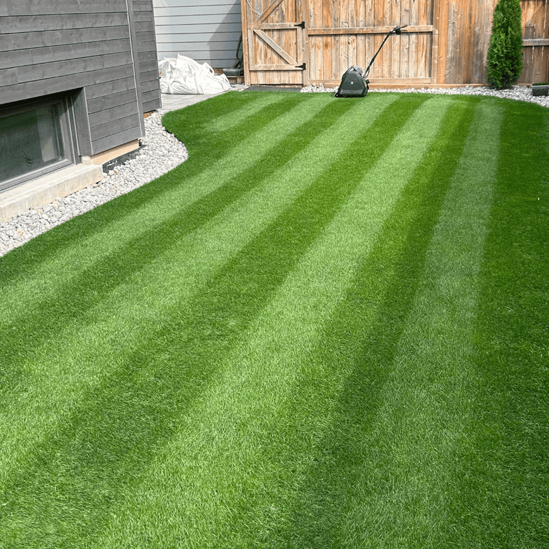 25-10-12: Maintenance Nutrition, Not a Nitrogen Bomb