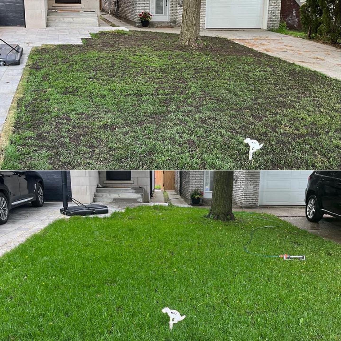 1:1 Virtual Consultation & Lawn Review