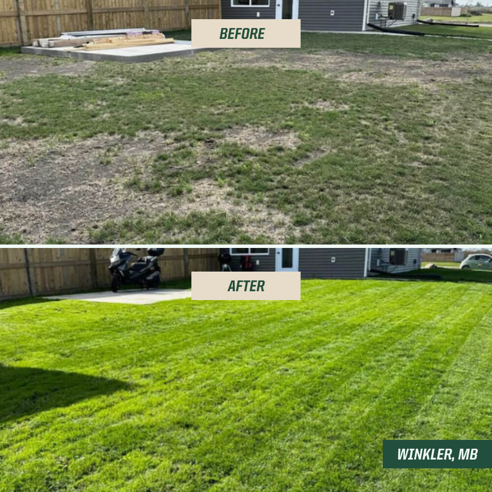 1:1 Virtual Consultation & Lawn Review