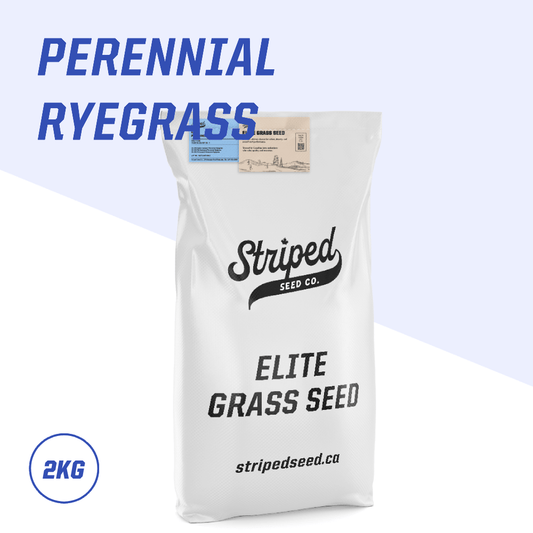 Elite Perennial Ryegrass Blend 2kg