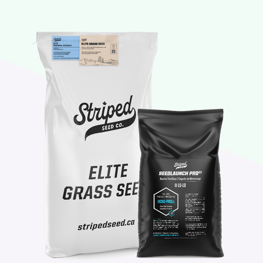 Elite Perennial Ryegrass 5kg + SeedLaunch Pro