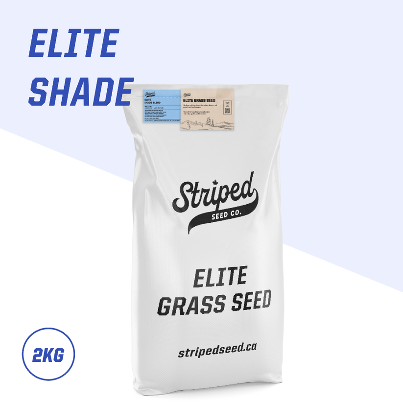 Elite Shade Premium Grass Seed Blend 2kg – Striped Seed Co.