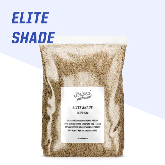 shade-grass-seed-canada-2kg