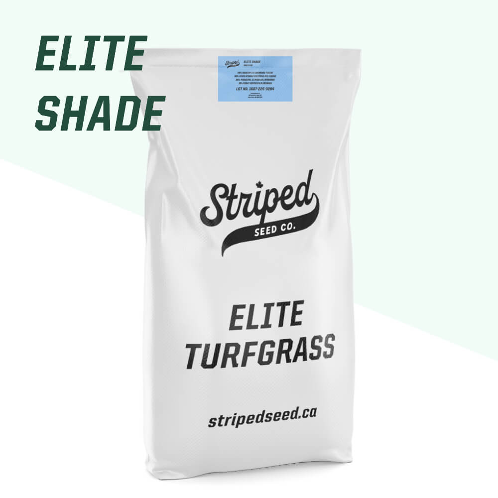 Elite Shade 5kg