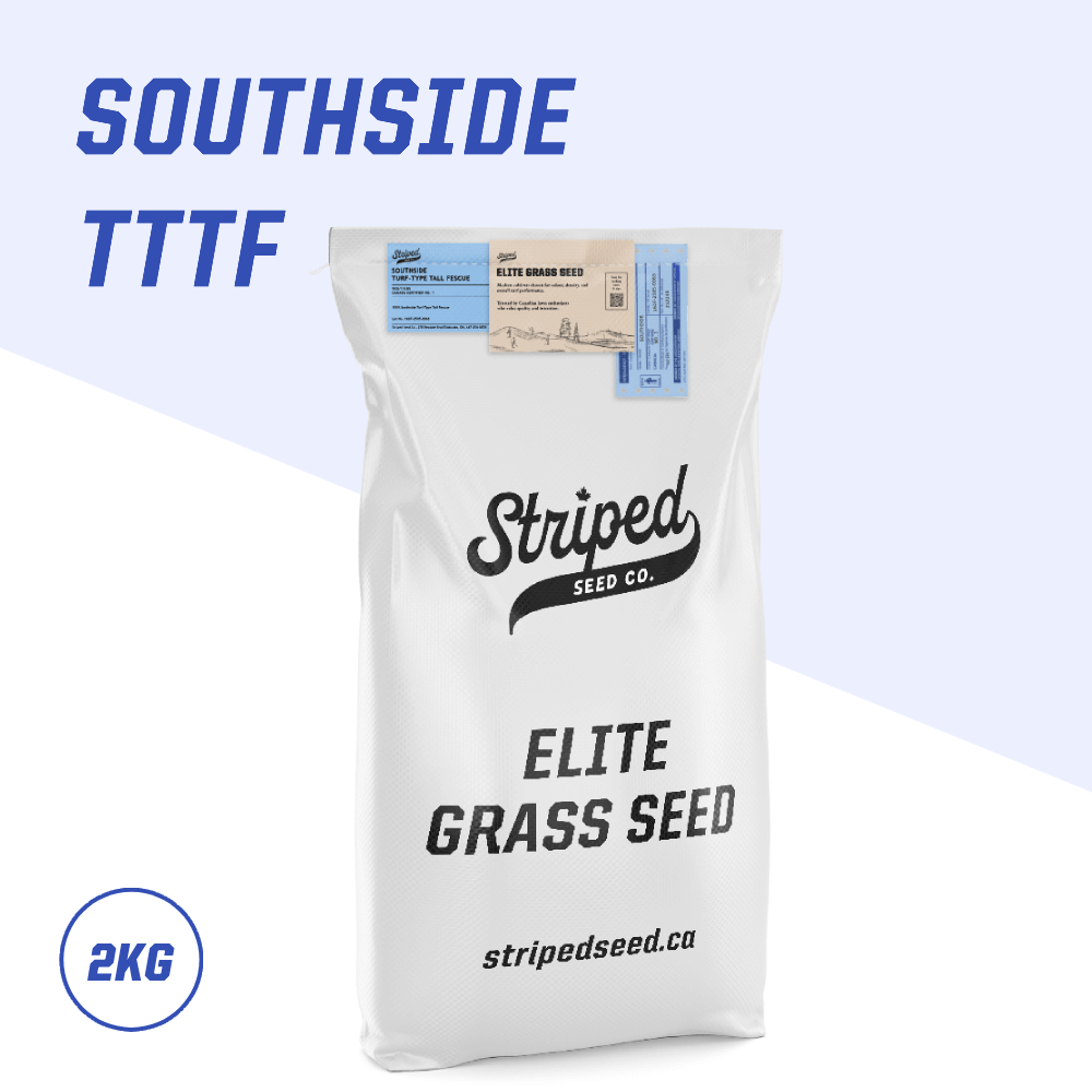 Southside Elite Turf-Type Tall Fescue