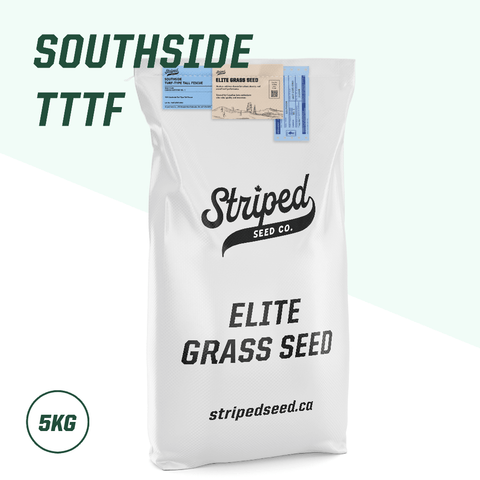 Southside Turf-Type Tall Fescue 5kg