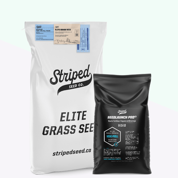 Southside Turf-Type Tall Fescue 5kg + SeedLaunch Pro