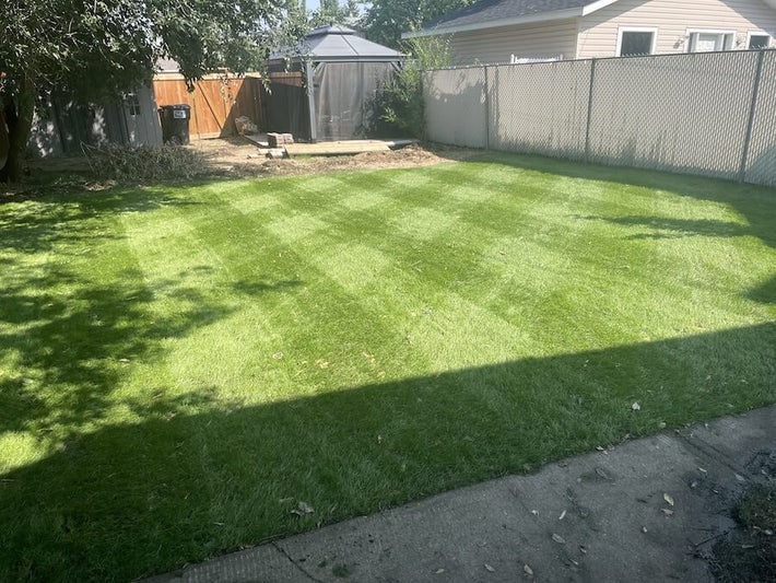 Elite Grass Seed for Canadian Lawns | Striped Seed Co.