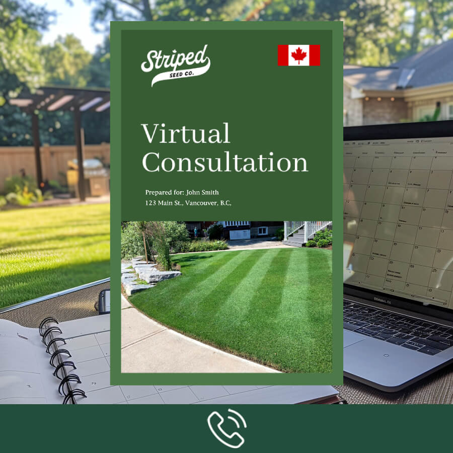 1:1 Virtual Consultation & Lawn Review